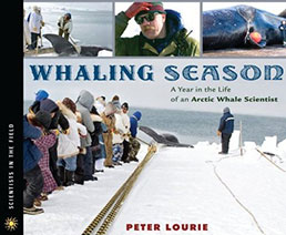 Whaling Season